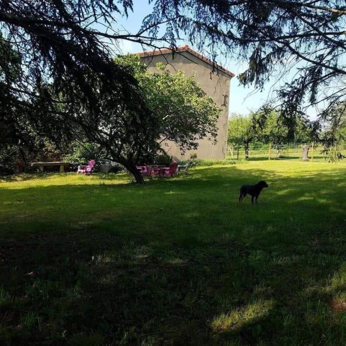 Gite La Roche Paisible Saint-Julien-de-Coppel Eksteriør billede